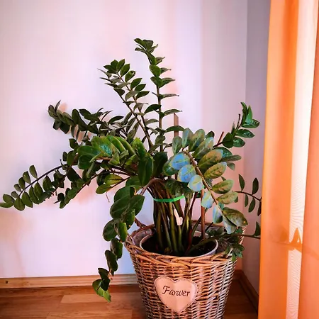 Апартаменти Linda Apartament