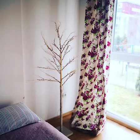 Linda Apartament * Брашов